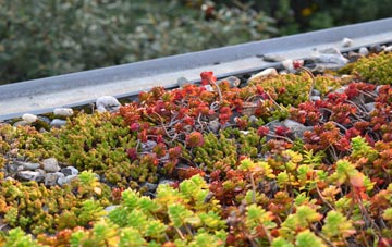 the cost of Soham Cotes green roof installation