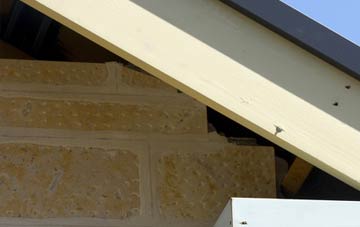 soffit repair Soham Cotes